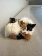 Realistic Real Fur Aleppo G Calico Kitten