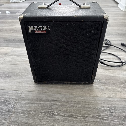 Polytone Mini Brute II High-Quality Dual-Channel Audio Amplifier