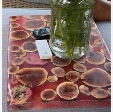 DIY 250pcs Manzanita slices Burl slabs live edge wood crafts resin table wood