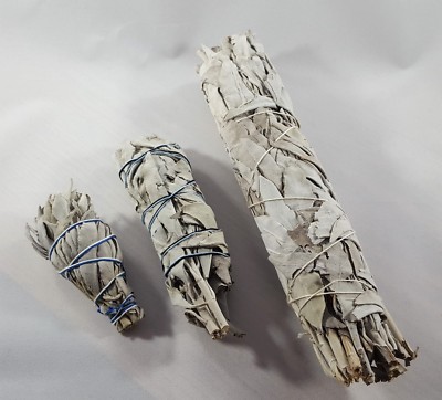 frischer weißer Salbei Smudge Stick White Sage Räucherbündel weiß