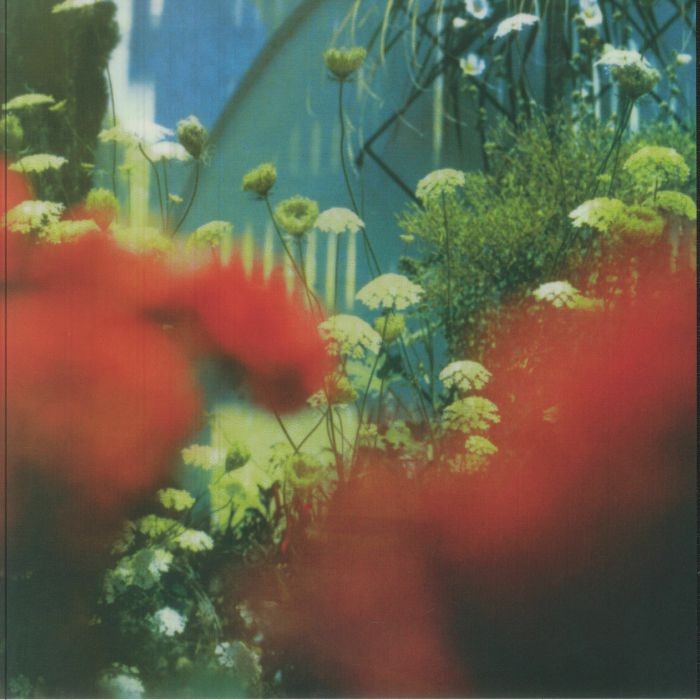 PULLED APART BY HORSES - The Haze - Vinyl (gatefold LP)