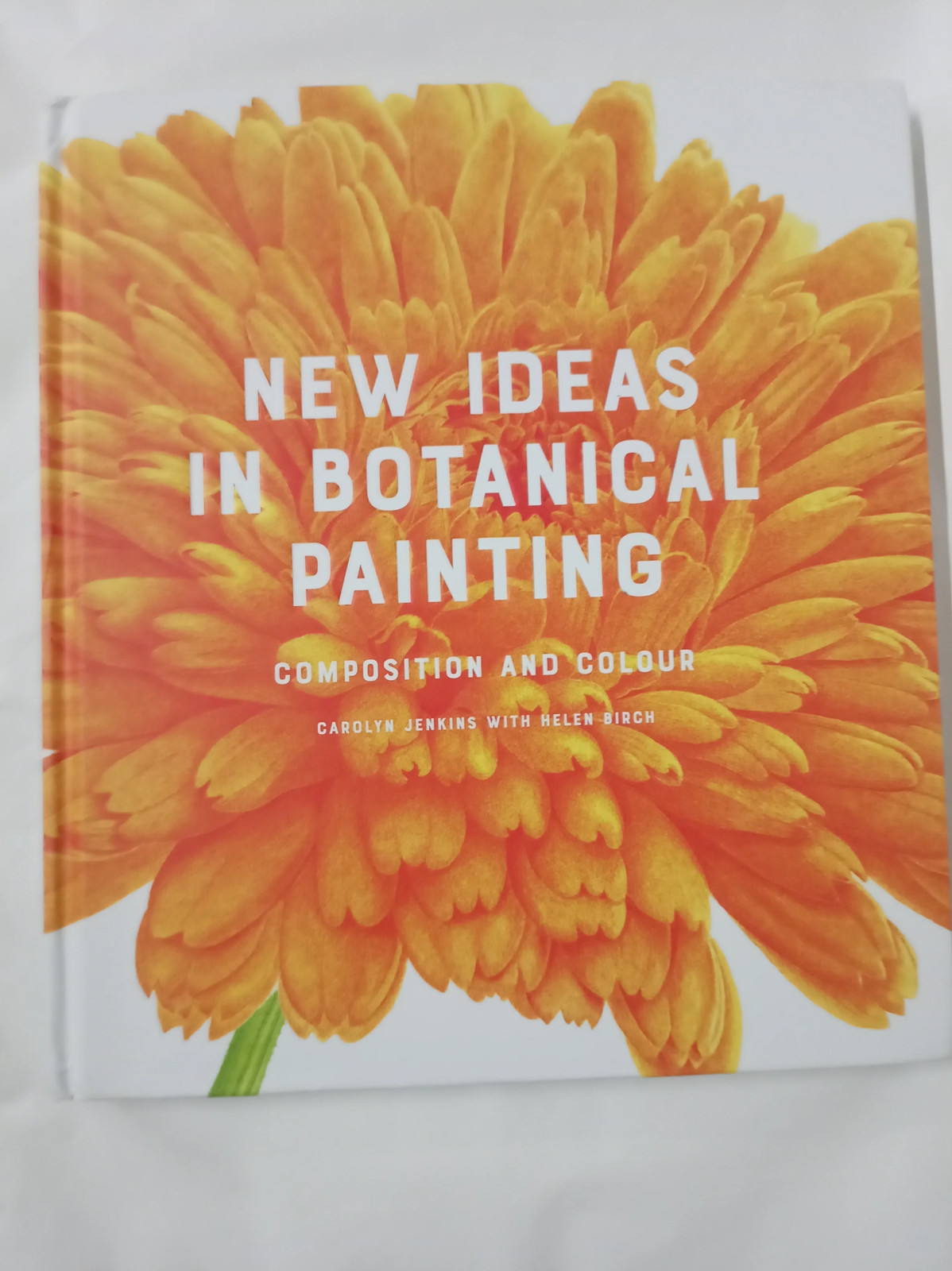 New Ideas in Botanical Painting: composition and colour