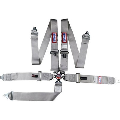 RJS Racing Equipment 1034907 5-Point Cam-Lock Racing Harness Grey