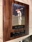 Combine And Save Joe dimaggio signed baseball and Pic (COA on Pic) — photo 10