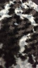Bild 9 von 11