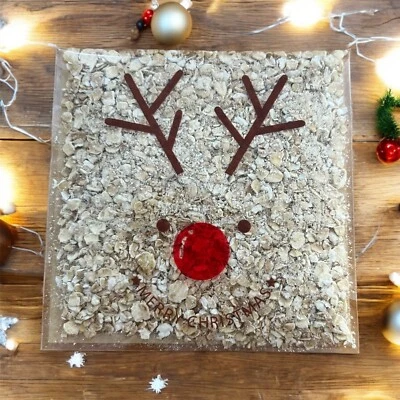 DIPSY'S CREATIONS Magic Reindeer Food Dust Christmas Eve Box Gift Kids Stocking Filler Xmas UK