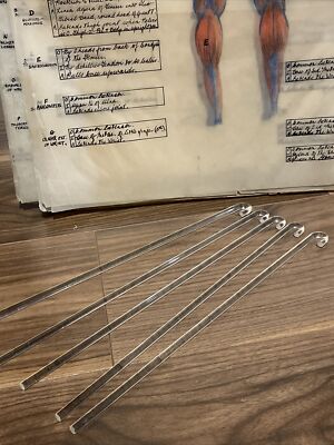 5 Pharmazeutische Glasrührstäbe Rührer Wissenschaftliches Labor