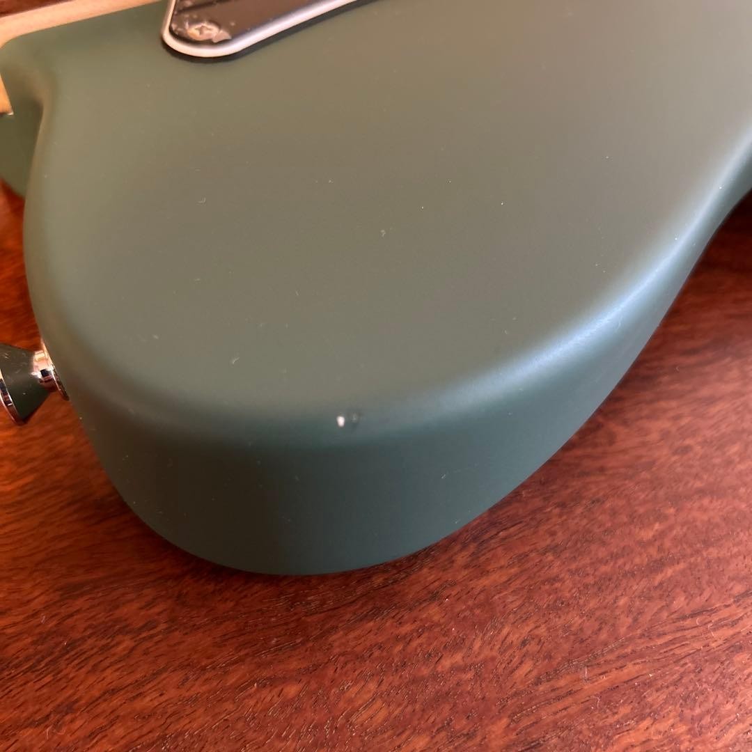 SAITO GUITARS SR-22T-Plus Moss Green | eBay
