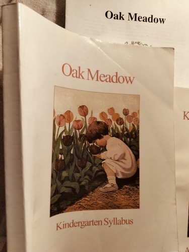OAK MEADOW 3 Book Bundle Kindergarten Syllabus, Curriculum, And Fairy Tales - Picture 2 of 19