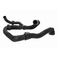 KüHlerschlauch Vaico V10-8876 Q+, ErstausrüSterqualitäT FüR Vw, Unten