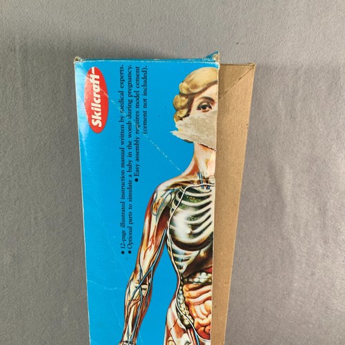 Vintage 1991 Skilcraft Humanlab Visible Woman Model Kit #4623 Complete   22E) - Picture 8 of 11