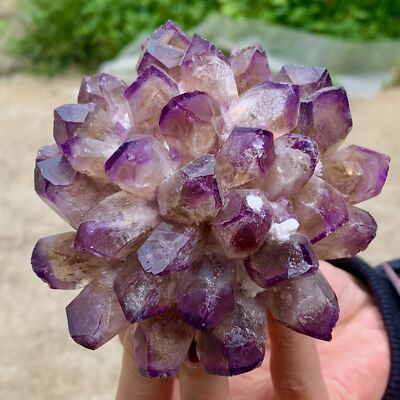 418G  New Find purple PhantomQuartz Crystal Cluster MineralSpecimen