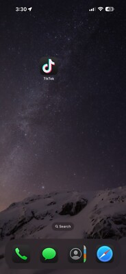 iPhone 16 Pro Max With TikTok 