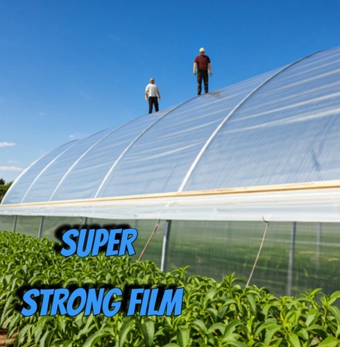 CLEAR REINFORCED PLASTIC GREENHOUSE FILM MEGA TOUGH LIFTS A TRUCK- 7/9/12/16 Mil - Picture 6 of 15