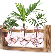 Heart Shaped Propagation Stations, Plant Terrarium with Wooden Stand, Plant Prop