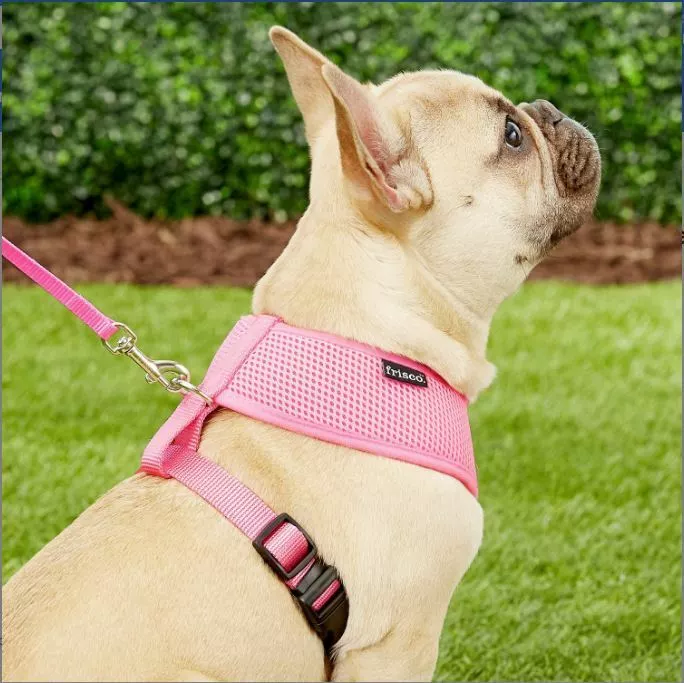 Frisco soft top vest dog harness