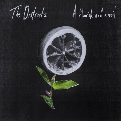 The Districts A Flourish and a Spoil (CD) Album
