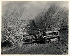 Ga241 1947 Original Underwood Photo Caterpillar Diesel D2 Tractor Disking Field