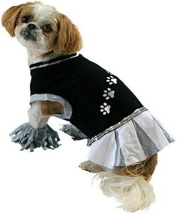 raiders dog clothes