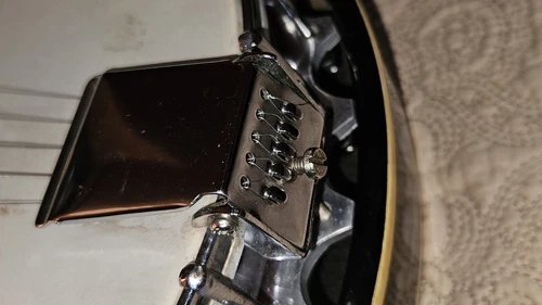 Vintage 5 String Resonator Banjo, Unmarked, with case, Similar To Harmony Eagle - Picture 16 of 22