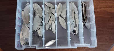 silver spinner blades for fishing