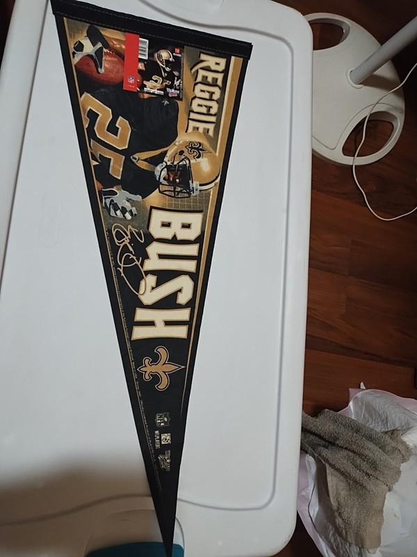 Reggie Bush Pennant