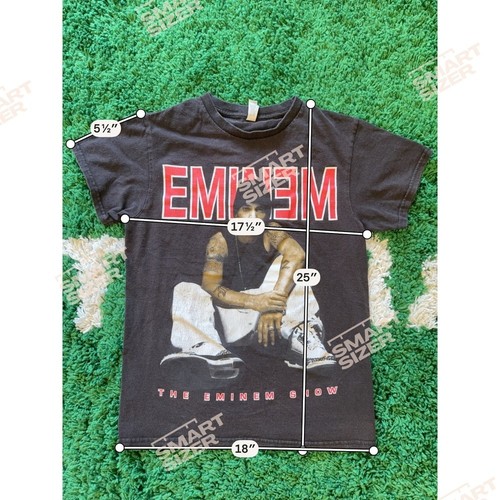 Eminem The Eminem Show Graphic T-Shirt Black Alstyle … - Gem