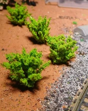 50 Light Green Bushes, Shrubs, 28 Mm Tall, For Landscaping