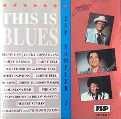 Various - This is Blues: JSP Sampler 2 CD VGC LOOK Tracks Artists Listed
