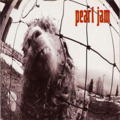 Pearl Jam Vs. CD, Album, Ora 1993 Grunge, Alternative Rock (VG