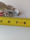 Foto 12 di 14