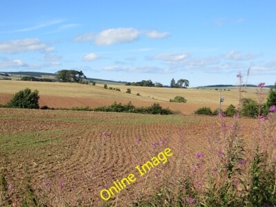 Photo 6x4 Polwarth Rhodes Next year's crop is germinating while ther c2013
