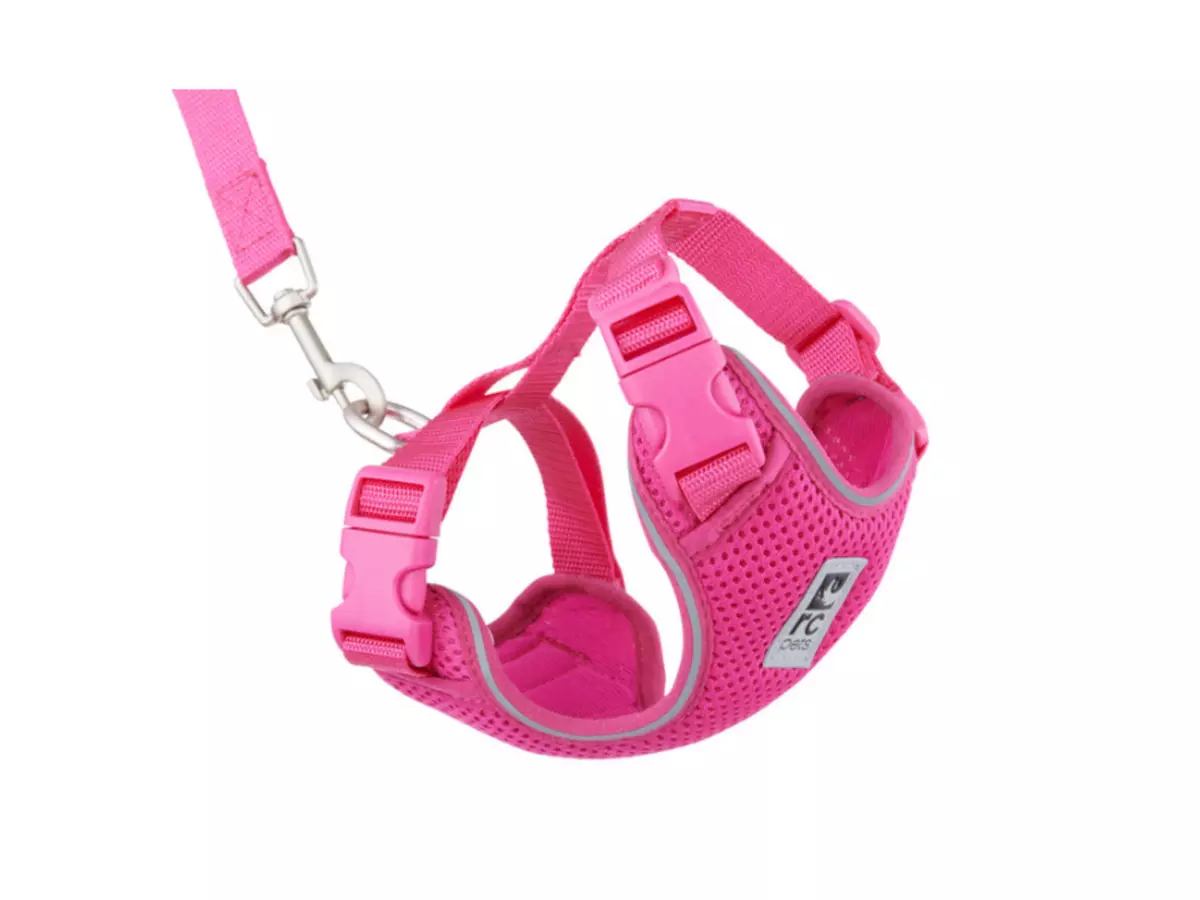 Rc pets hotsell harness cats