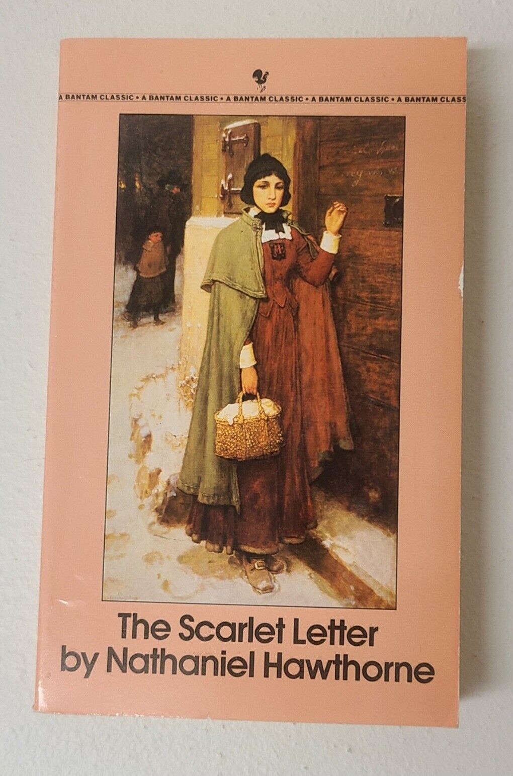 The Scarlet Letter Large Literary Book Cover (Download Now) 