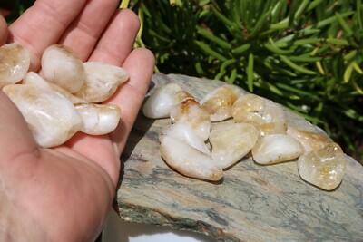 Tumbled Citrine - Beautiful Coloring 1/2 LB (8oz.) Exact Lot US Seller! #0516E