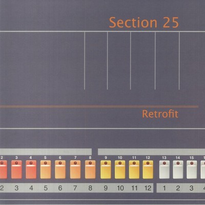 SECTION 25 - Retrofit - Vinyl (limited orange vinyl LP)