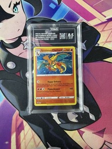 Delivery Charizard | eBay