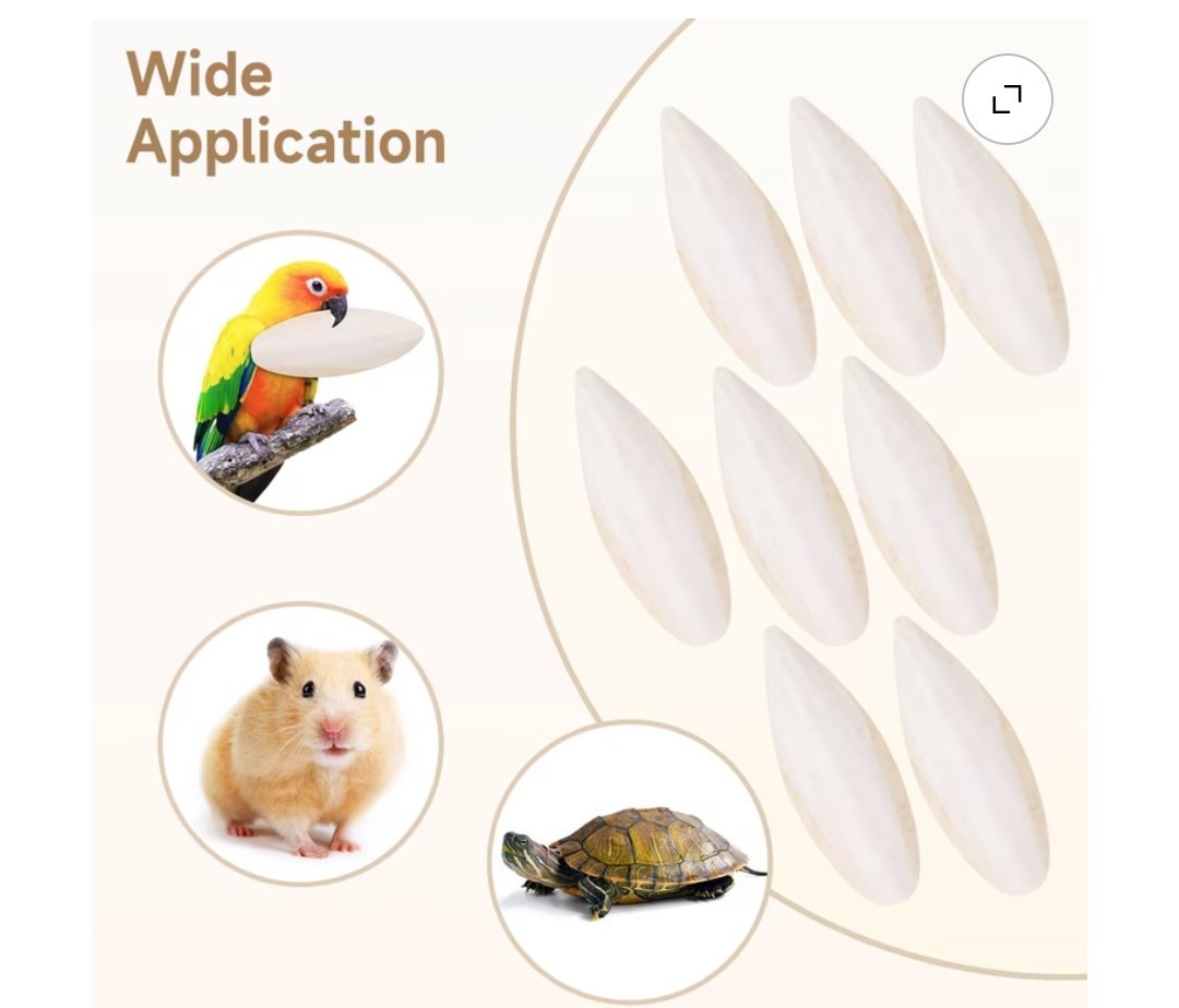 Natural Cuttlebone Bulk Pack - 15 Small 5-6 Inch Calcium Supplement Bird Reptile