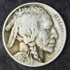1929-D Buffalo Nickel 5C - COINGIANTS -