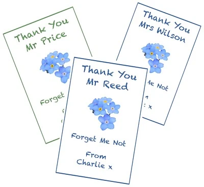 BEA GARDEN UK Forget Me Not Seeds Gift Nursery Pre School Teacher TA Thank You Gift End Term