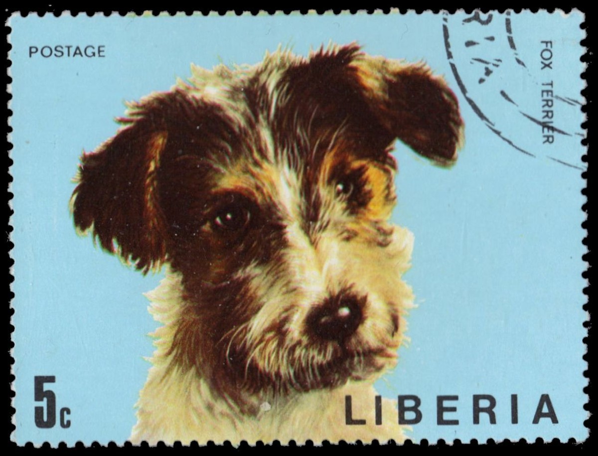 LIBERIA 669 Domestic Dog Breeds 