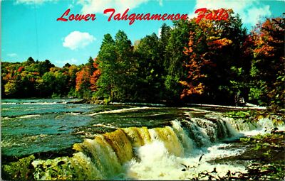 Tahquamenon Falls MI Lower Full View Postcard Unused (29454)