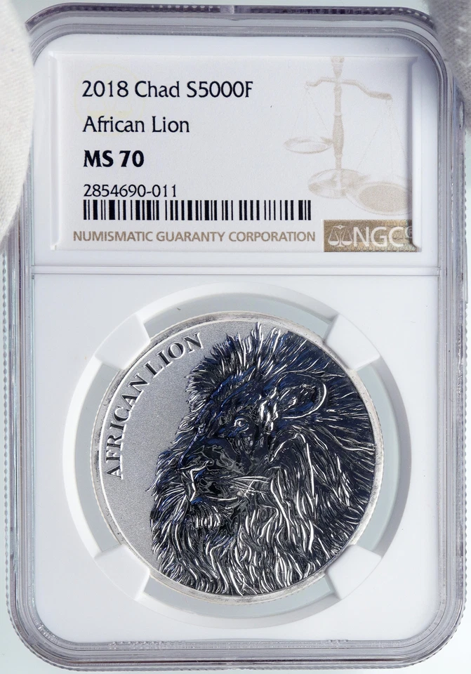 2018 CHAD African ARTISTIC LION Map Antique Silver 5000 Francs Coin NGC i89266 - Image 3 of 4