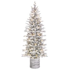 6ft PreLit Potted Flocked Arctic Fir Pencil Christmas Tree with 120 Warm Whit...