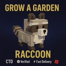   RACCOON | Grow a Garden | OP DIVINE PET  