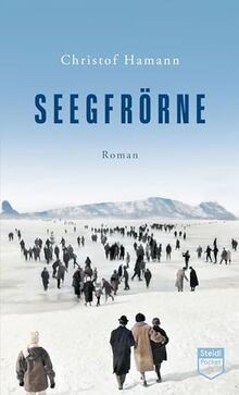Seegfrörne (Steidl Pocket) von Hamann, Christof | Buch | Zustand sehr gut