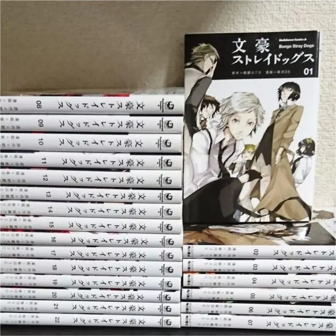 Bungo Stray Dogs Vol. 20