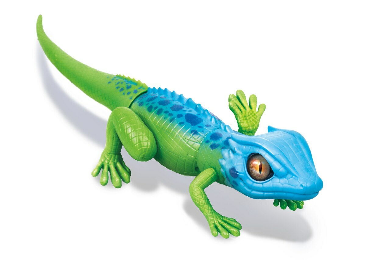 zuru lizard