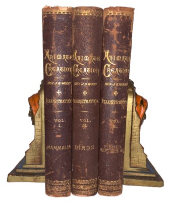 1885, 1st, ANIMATE CREATION, REV J. G. WOOD, FOLIOS, w CHROMOLITHOGRAPHS, VG+