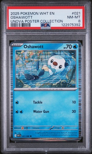 Oshawott graded PSA 8 for sale on eBay